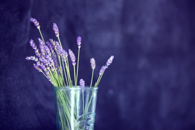 玻璃中紫色花瓣的特写照片
